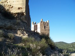 Castillo de Pliego 2009